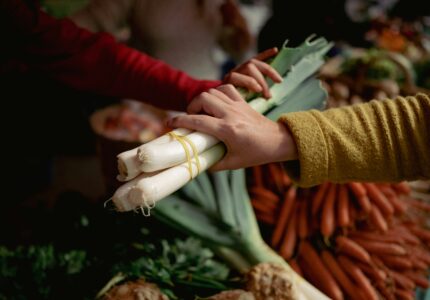 ALTERFIXE 53 : un camp d’été pour celles et ceux qui veulent s’installer en agriculture paysanne !