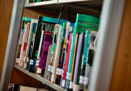 Chroniques pédagogiques : un espace de ressources pour les professionnel·les jeunesse